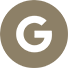 Google Icon
